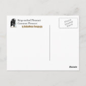 Fasan 407 postkarte (Rückseite)