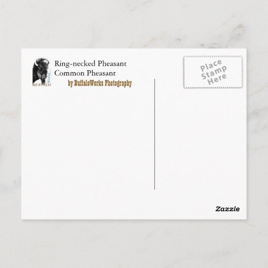 Fasan 407 postkarte (Rückseite)