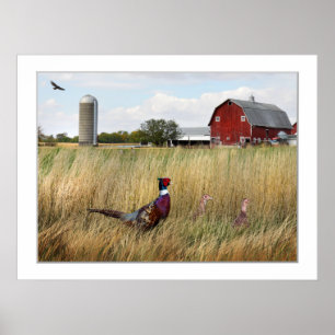 Fasan-Bauernhof Poster