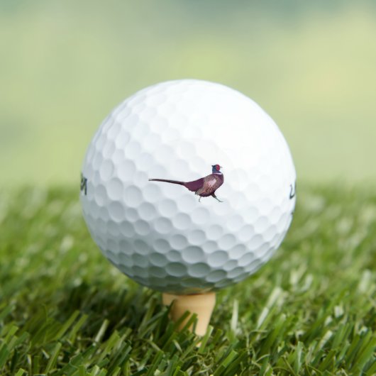 Fasan Golfball (Insitu T-Shirt)