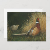 Fasan im Feld Art Postkarte (Vorne/Hinten)