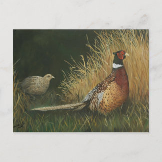 Fasan im Feld Art Postkarte
