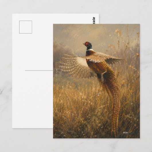 Fasan im goldenen Flug Postkarte (Vorne/Hinten)