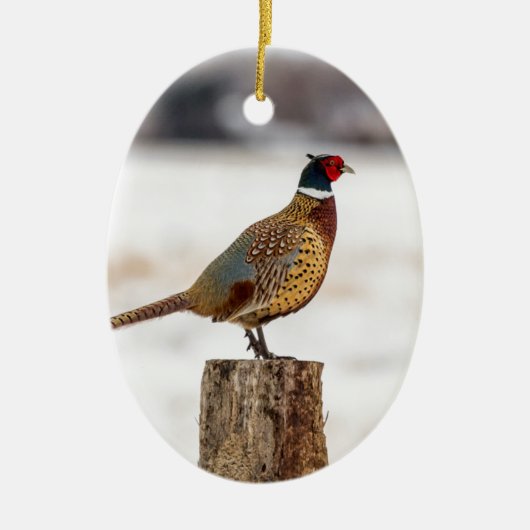 Fasan Keramik Ornament (Vorne)