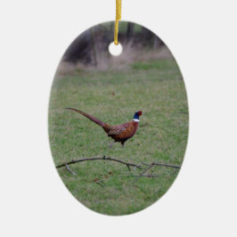 Fasan Keramikornament