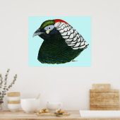 Fasan: Lady Amherst Rooster Poster (Küche)