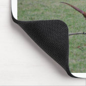 Fasan Mousepad (Ecke)