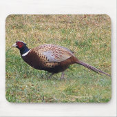 Fasan Mousepad (Vorne)