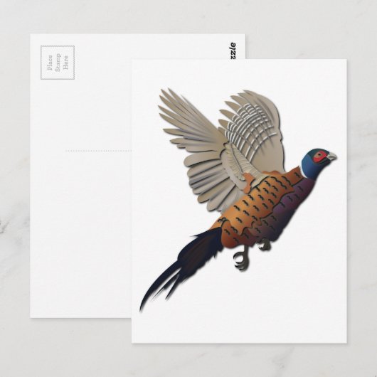 Fasan ohne Text Postkarte (Vorne/Hinten)