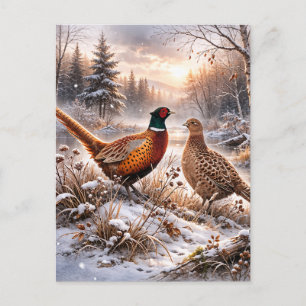 Fasan  postkarte