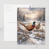 Fasan  postkarte (Vorne/Hinten)