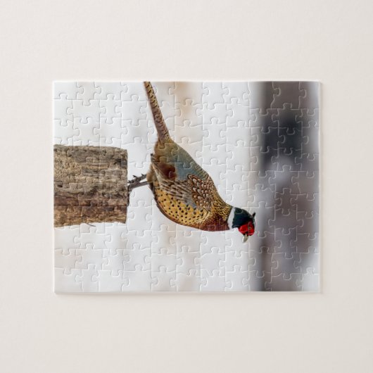 Fasan Puzzle (Horizontal)