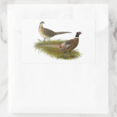 Fasan: Ringneck Rechteckiger Aufkleber (Tasche)