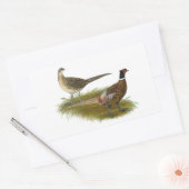 Fasan: Ringneck Rechteckiger Aufkleber (Umschlag)