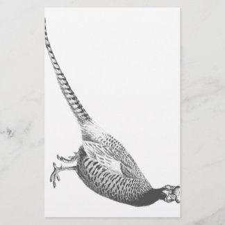 Fasan-Skizze Briefpapier