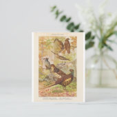 Fasan und anderes Spiel Postkarte (Stehend Vorderseite)