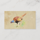 Fasan, Vogel, Natur, Umwelt, Visitenkarte (Rückseite)