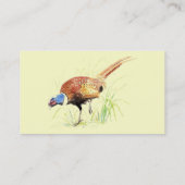 Fasan, Vogel, Natur, Umwelt, Visitenkarte (Rückseite)