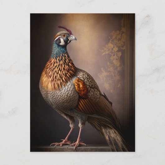 Fasan Vogel Postkarte (Vorderseite)