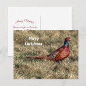 Fasan-Weihnachtspostkarte Postkarte (Vorne/Hinten)