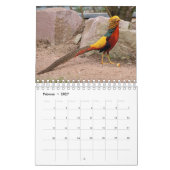 Fasane als Kalender (Feb 2027)