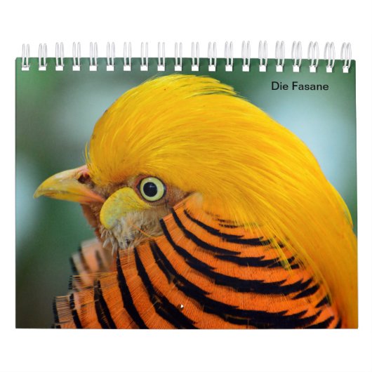 Fasane als Kalender (Titelbild)