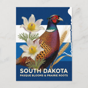 Fasanen- und Pasque-Blumensymbole von South Dakota Postkarte