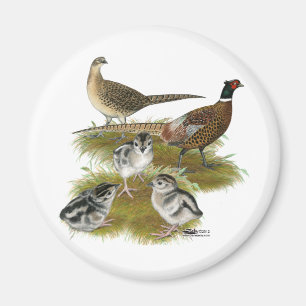 Fasanenfamilie mit Halsband Magnet