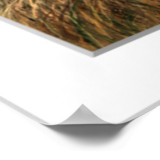 Fasanenfarm Poster (Ecke)