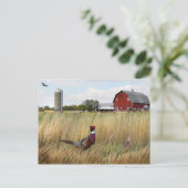 Fasanenfarm Postkarte (Stehend Vorderseite)