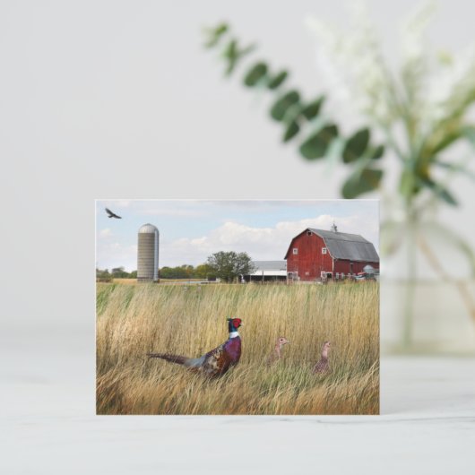 Fasanenfarm Postkarte (Stehend Vorderseite)