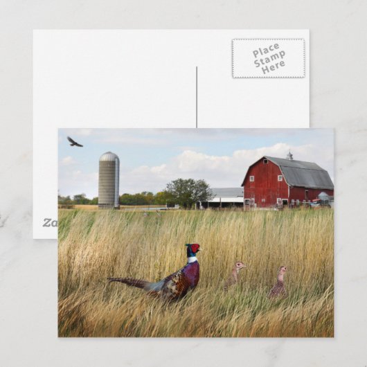 Fasanenfarm Postkarte (Vorne/Hinten)