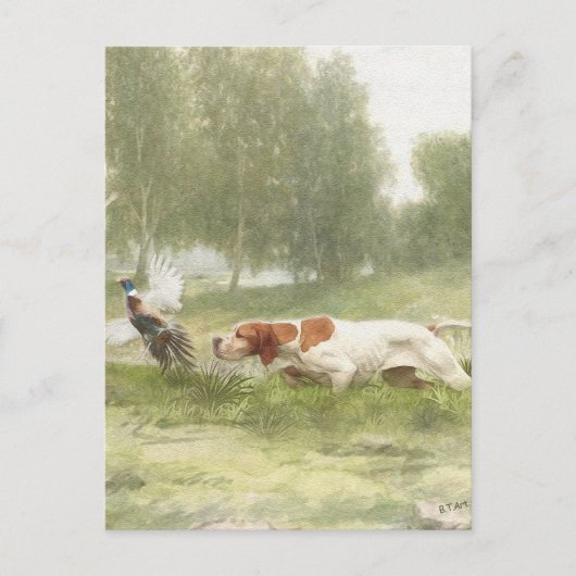 Fasanenjagd mit Pointer Postkarte (Vorderseite)