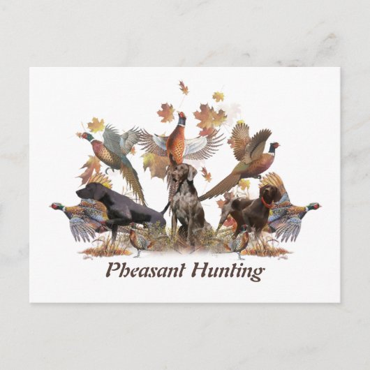 Fasanenjagd Postkarte (Vorderseite)