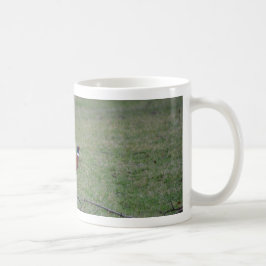 Fasant Kaffeetasse