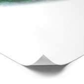 Fasant: Lady Amherst Head Poster (Ecke)