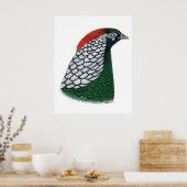 Fasant: Lady Amherst Head Poster (Küche)