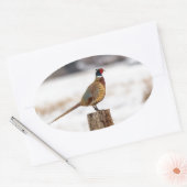 Fasant Ovaler Aufkleber (Umschlag)