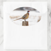 Fasant Ovaler Aufkleber (Tasche)