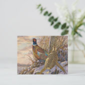 Fasant Postkarte (Stehend Vorderseite)