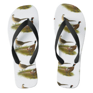 Fasant:  Ringhals Badesandalen