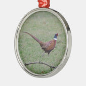 Fasant Silbernes Ornament (Links)