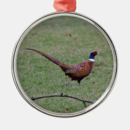 Fasant Silbernes Ornament