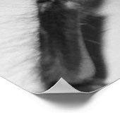 Fasciata Foto drucken von Randomwhat Poster (Ecke)