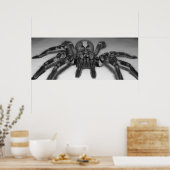 Fasciata Foto drucken von Randomwhat Poster (Küche)