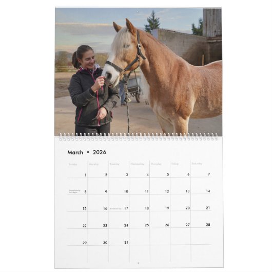 Fascination Haflinger Kalender (Mär 2026)