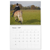Fascination Haflinger Kalender (Feb 2027)