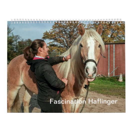 Fascination Haflinger Kalender (Titelbild)