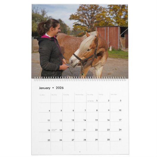 Fascination Haflinger Kalender (Jan 2026)