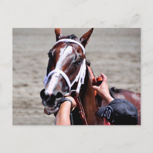 Fashion Alert gewinnt Schuylerville Postkarte